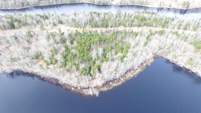 WentworthHalbinsel (53)